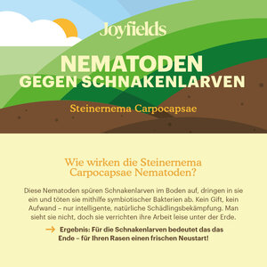 Joyfields Nematoden gegen Schnakenlarven (Steinernema carpocapsae)