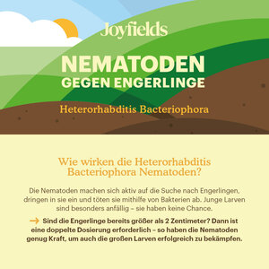 Joyfields Nematoden gegen Engerlinge (Heterorhabditis bacteriophora)
