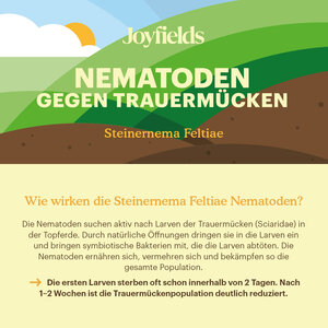 Joyfields Nematoden gegen Trauermücken (Steinernema feltiae)