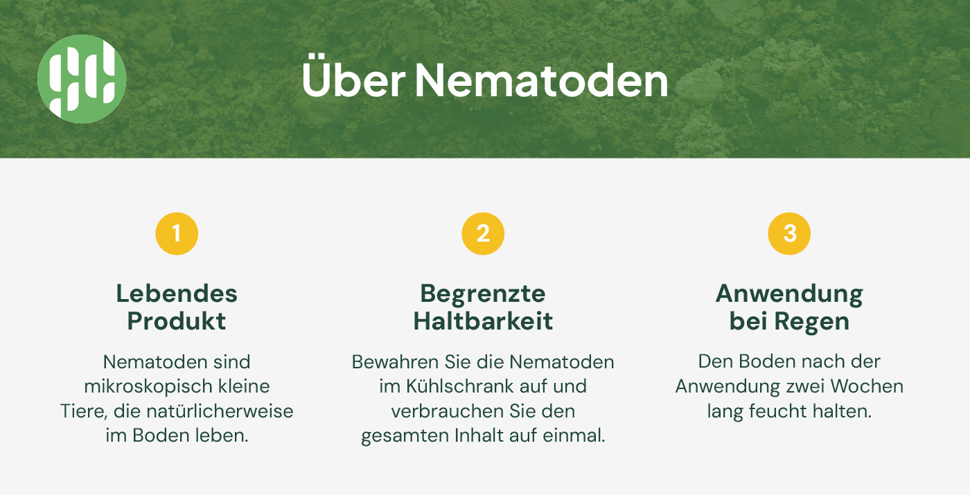 Was sind Nematoden?