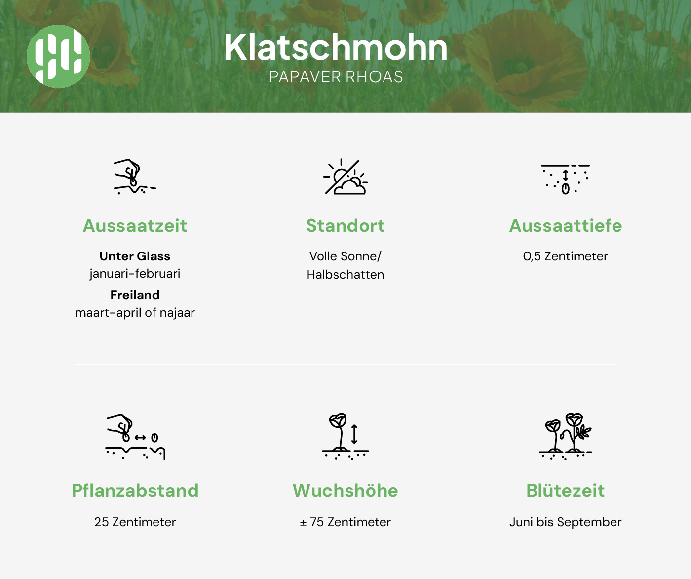 Klatschmohn säen