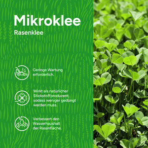 MRS Seeds & Mixtures Mikroklee - Rasenklee