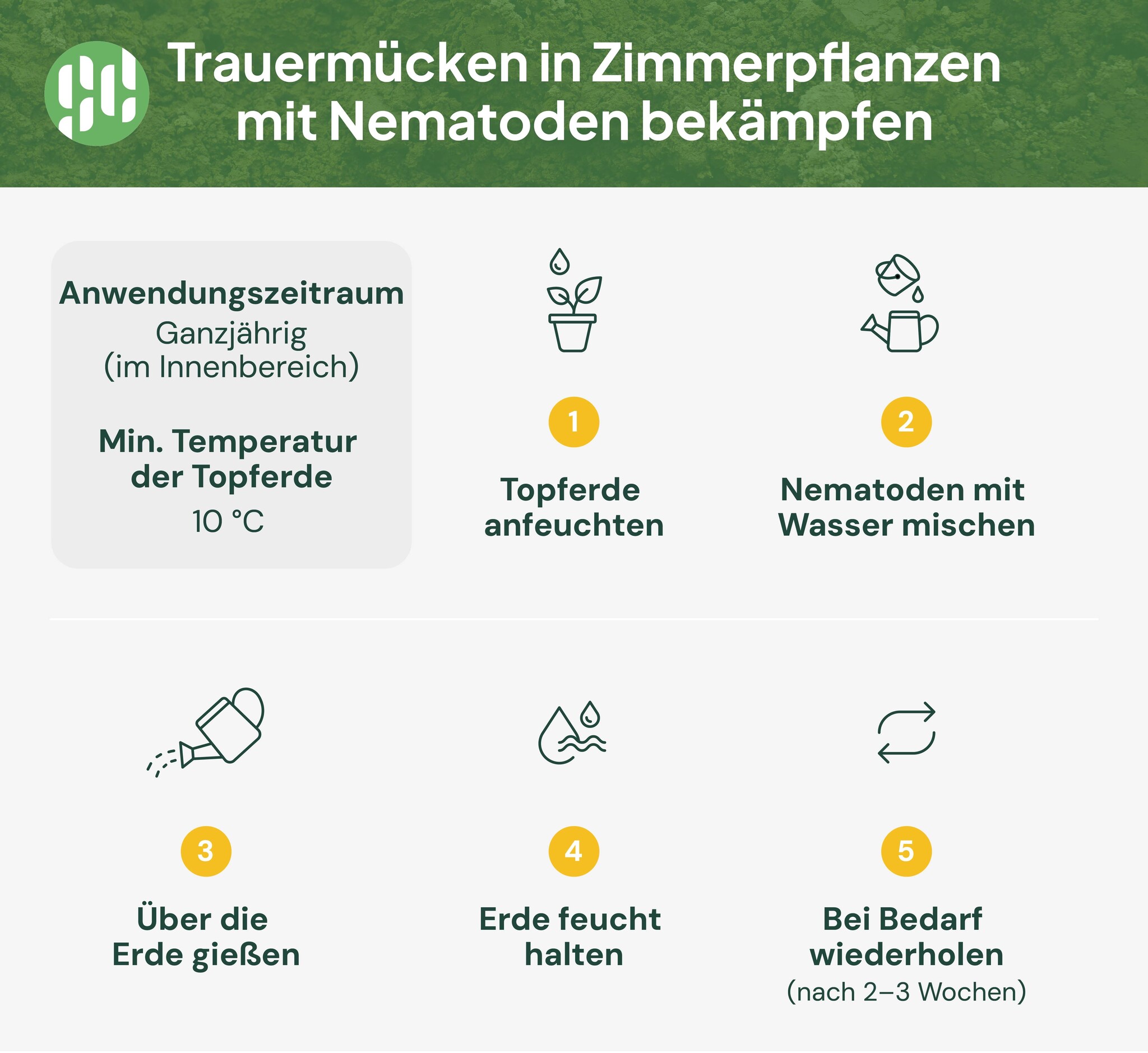 Nematoden gegen Trauermücken