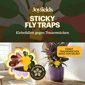 Joyfields Fangplatten - Klebefallen für Trauermücken