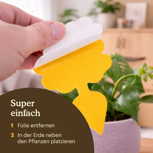 Joyfields Fangplatten - Klebefallen für Trauermücken