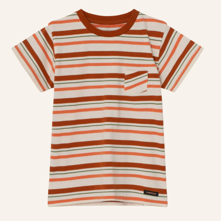 A MONDAY  in Copenhagen Ed t-shirt - Umber Stripe