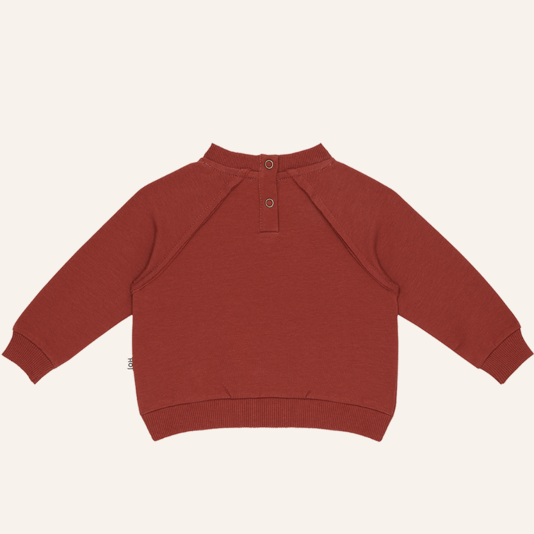 House of Jamie Baby raglan sweater - Rustic red