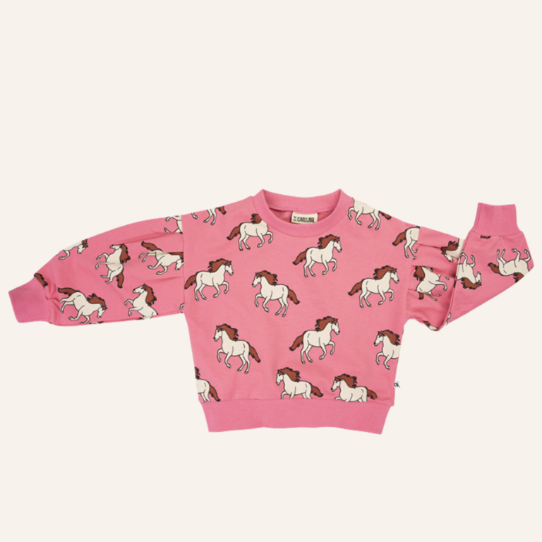 CarlijnQ CarlijnQ sweater - Wild horse pink