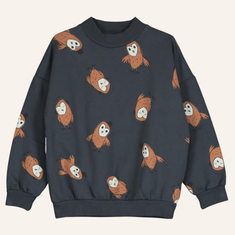 Lötiekids Lötiekids Sweatshirt fleece Owls - Antraciet