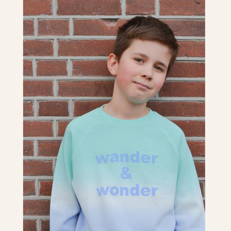 Wander & Wonder Wander & Wonder Ombre sweatshirt - Arctic