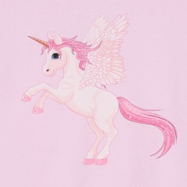 Daily Brat Daily Brat Marshmallow unicorn sweatrer - Fluffy pink
