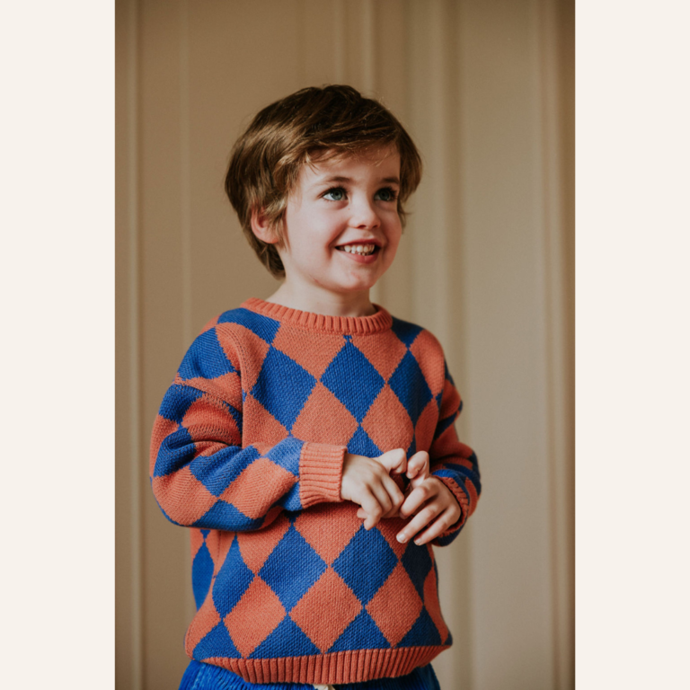 Yuki Yuki Checkered Knitted Sweater - Cobalt
