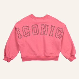 Petit Blush Petit Blush Luca sweater Iconic - Fruit dove