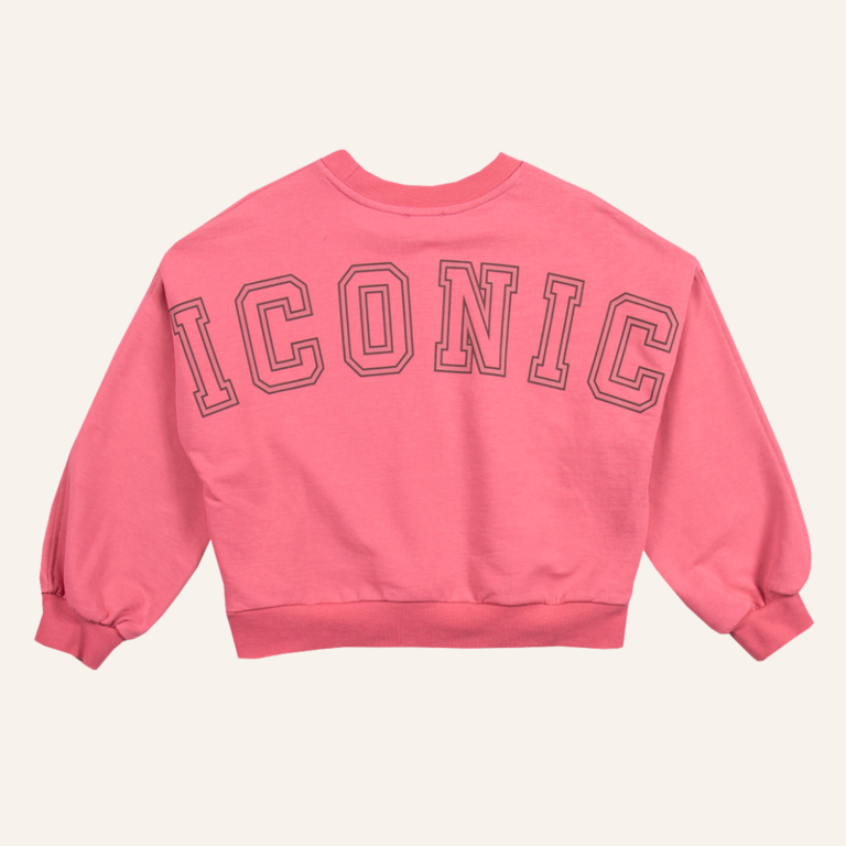 Petit Blush Petit Blush Luca sweater Iconic - Fruit dove