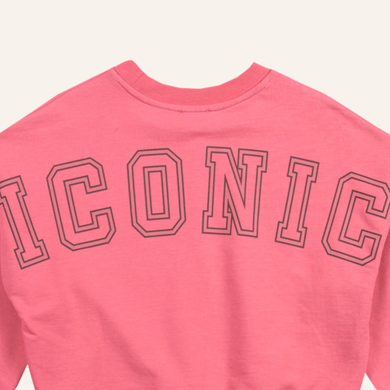 Petit Blush Petit Blush Luca sweater Iconic - Fruit dove