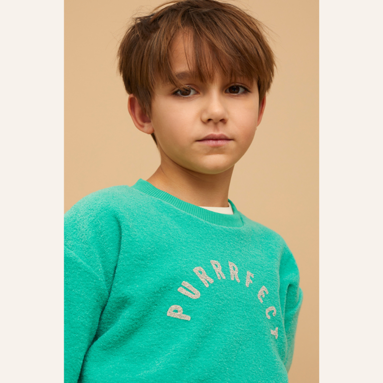 Sproet & Sprout Sproet & Sprout Sweatshirt Purrrfect - Vivid Green