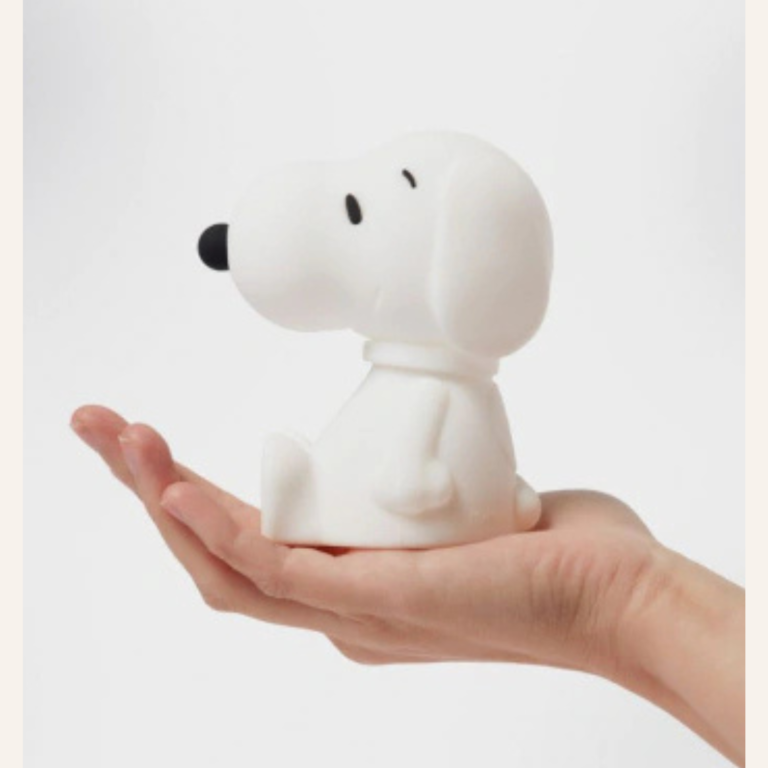 Bundle of light - Snoopy