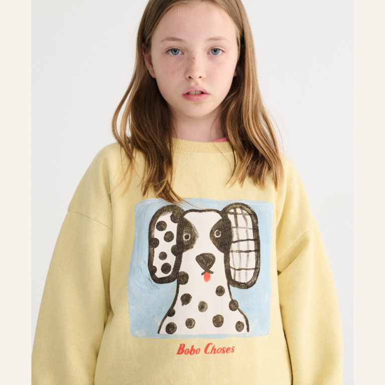 Bobo Choses Bobo Choses Van dog sweatshirt