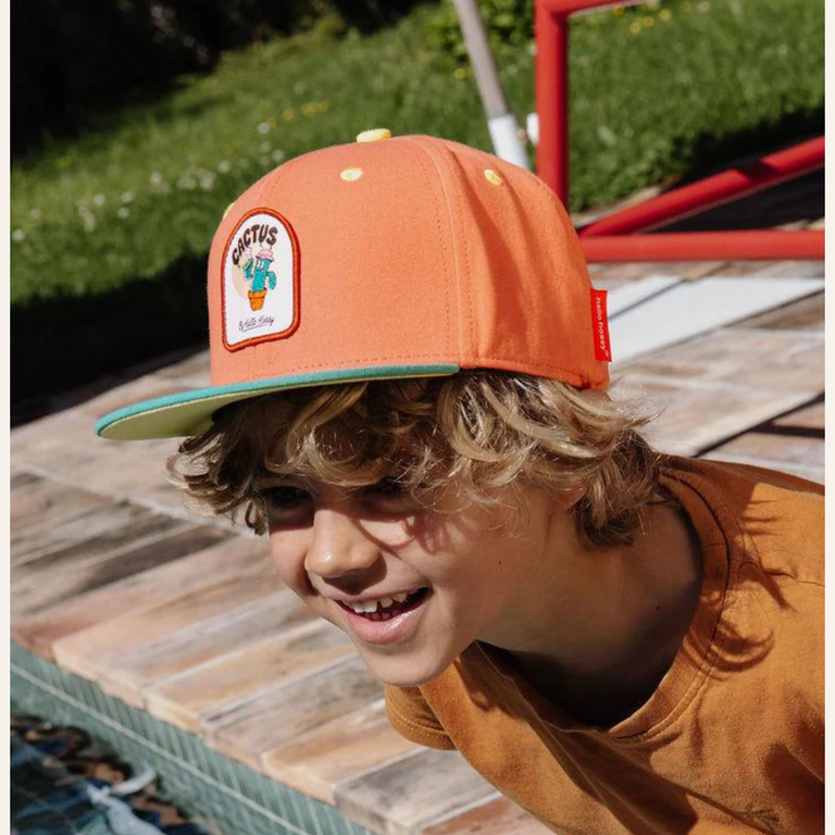 Hello Hossy Hello Hossy pet - Cactus