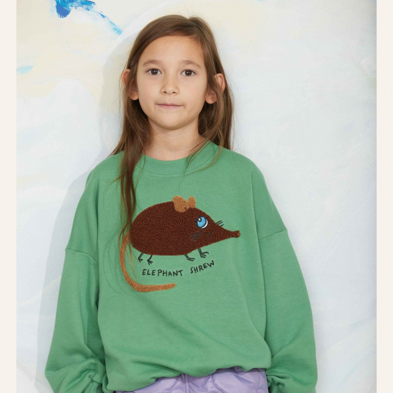 Mini Rodini Mini Rodini elephant Chenille sweatshirt - Green