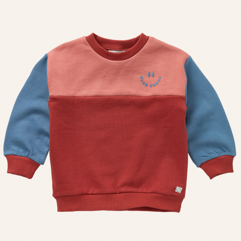 Sproet & Sprout Sproet&Sprout Sweatshirt colourblock - Palette