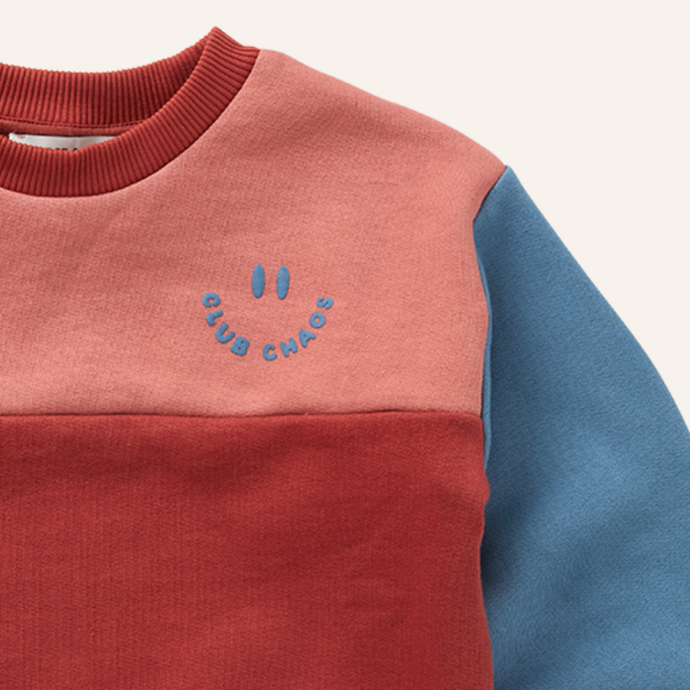 Sproet & Sprout Sproet&Sprout Sweatshirt colourblock - Palette