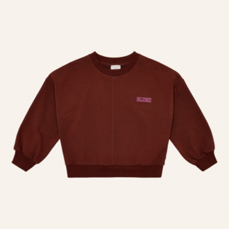 Petit Blush Petit Blush Luca sweater - Brown