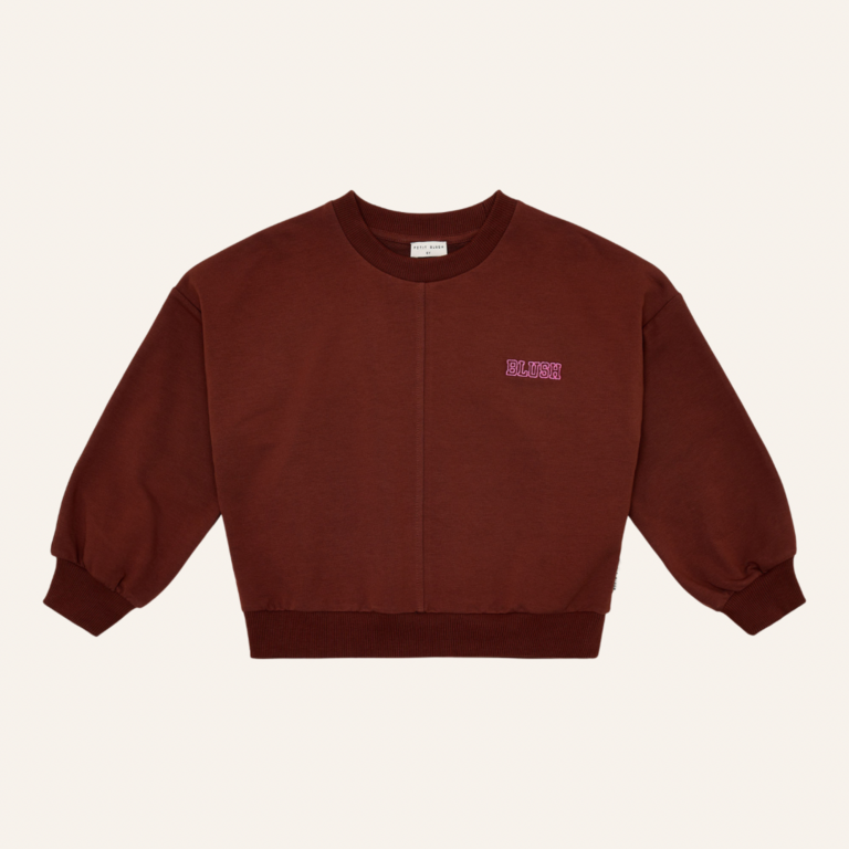 Petit Blush Petit Blush Luca sweater - Brown