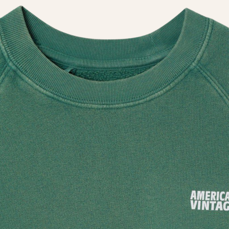 American Vintage AMV kid sweatshirt Izubird - Vintage Cedar