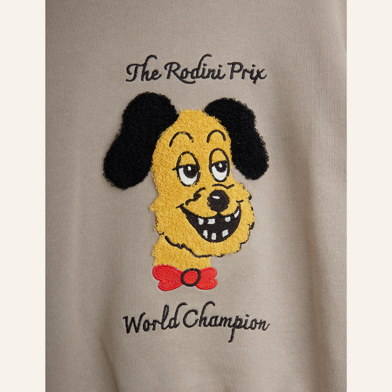 Mini Rodini Mini Rodini Prix Chenille Sweatshirt | Grey