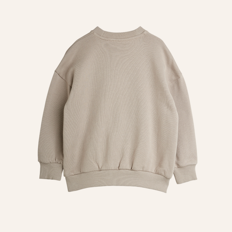 Mini Rodini Mini Rodini Prix Chenille Sweatshirt | Grey