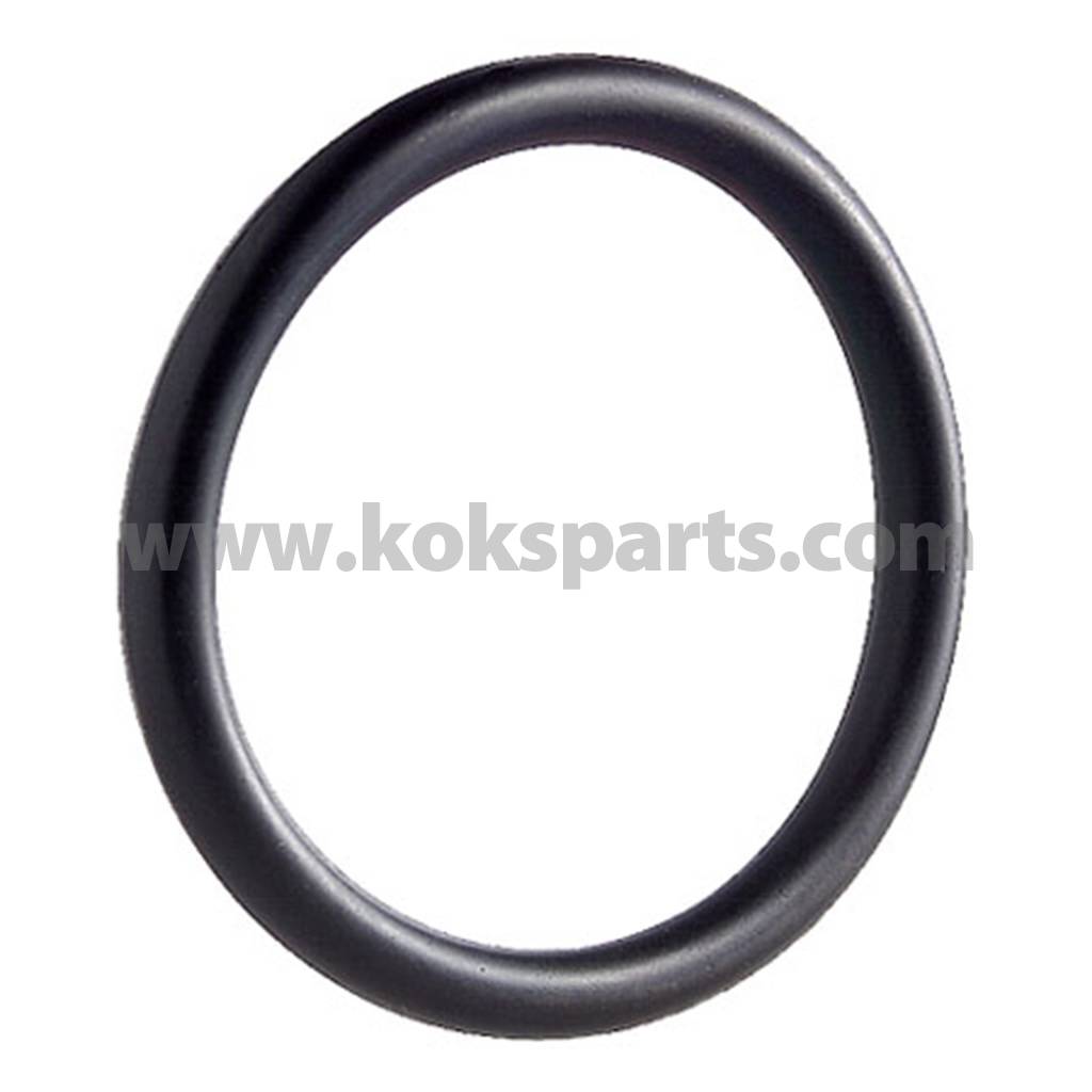 Нижнее кольцо. Кольцо круглого сечения о-Ring g3/4 NBR sh 90 SAE j518. О-ринг nbr70. Кольцо уплотнительное 70 Shore a. Кольцо уплотнительное o-Ring 68.5.