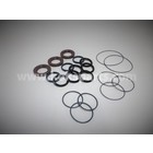 KO101911 - Seal kit P55-128/160 Speckpump