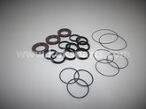 KO101911 - Seal kit P55-128/160 Speckpump