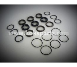 KO103468 - Revision set NP25/70 Seals