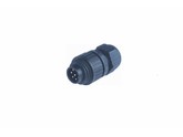 KO103501 - Stecker 7-Polig