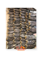Toko Kalimantan Toko Kalimantan - Ikan Sepat Besar Asin 250 grams