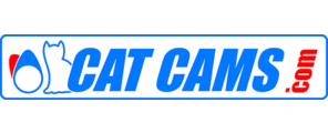 Catcams