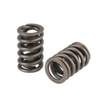 Valve springs and accessories