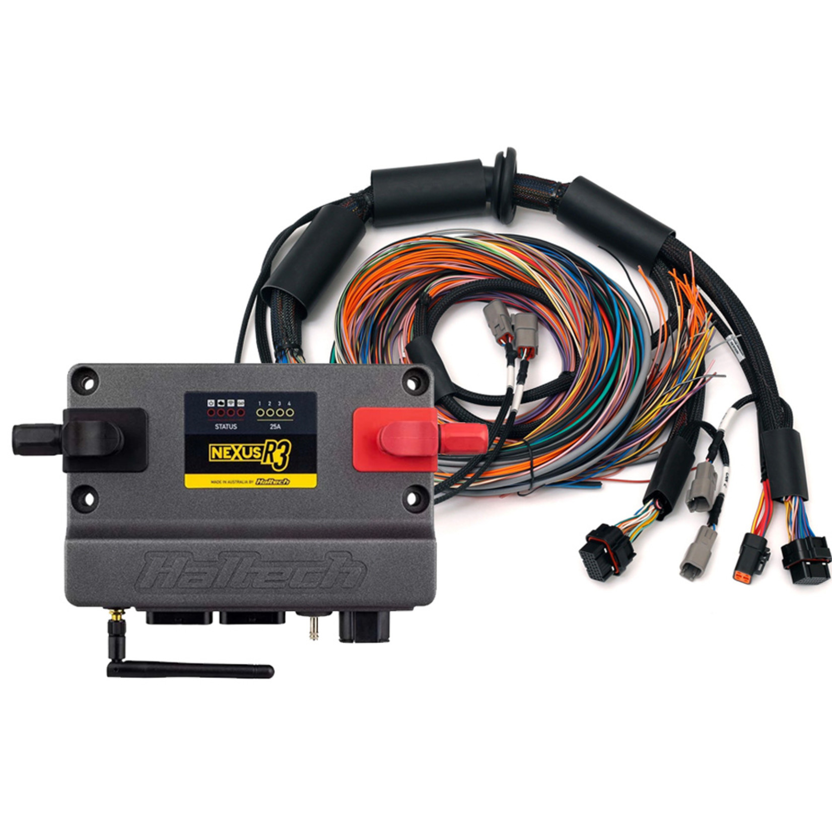 Haltech Nexus R3 + Universal Wire-in Harness Kit Length: 2.5m (8')