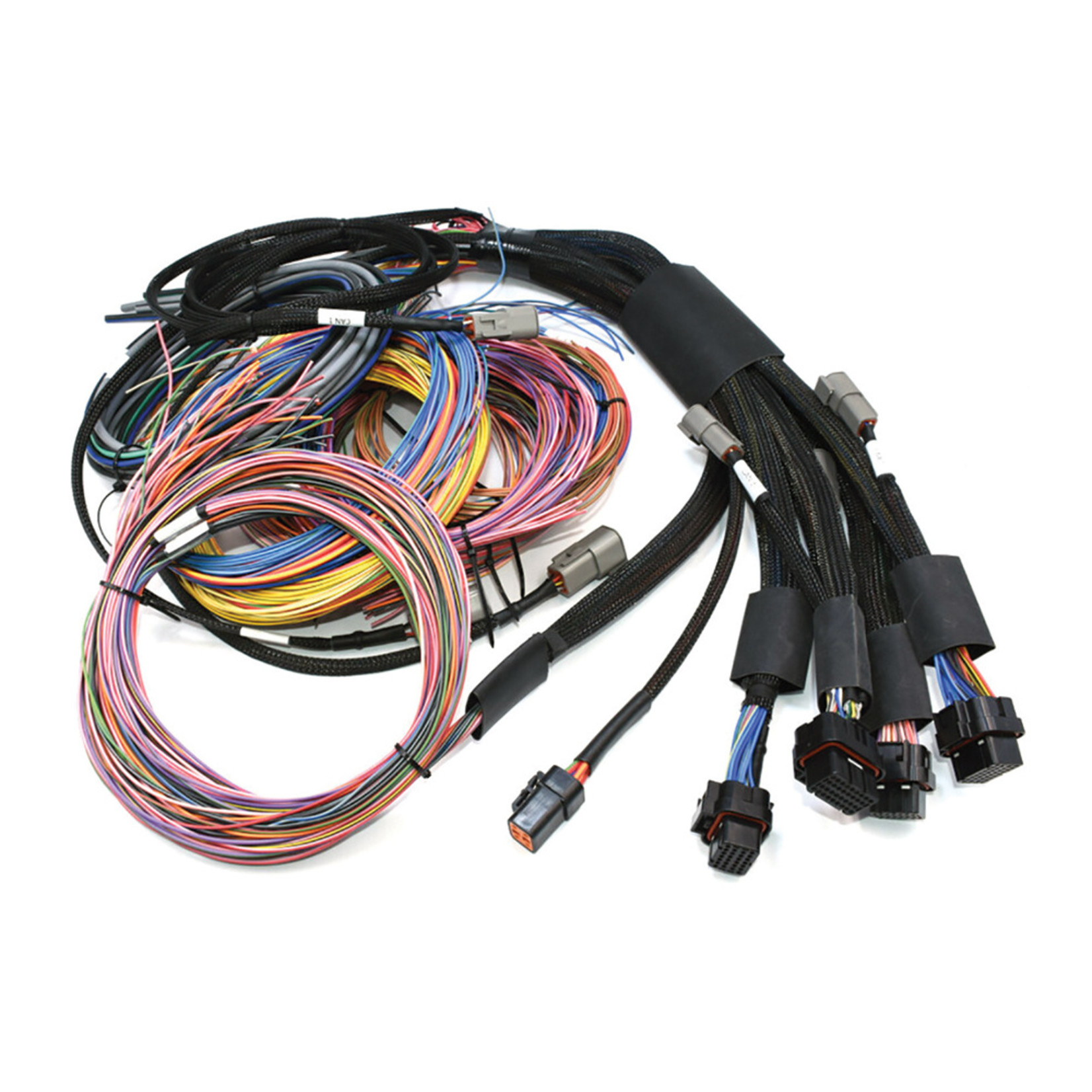 Haltech NEXUS R5 + Universal Wire-in Harness Kit Length: 2.5m (8')