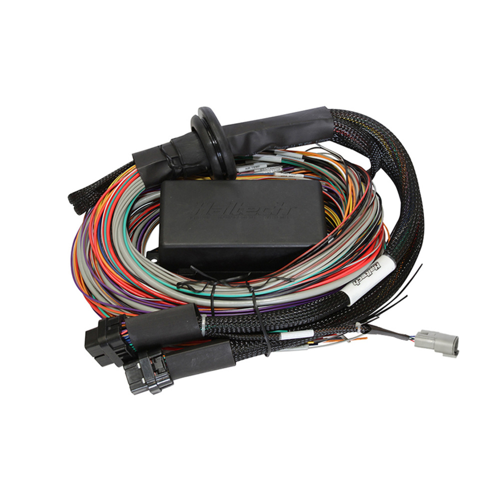 Haltech Elite 1500 + Premium Universal Wire-in Harness Kit Length: 2.5m (8')