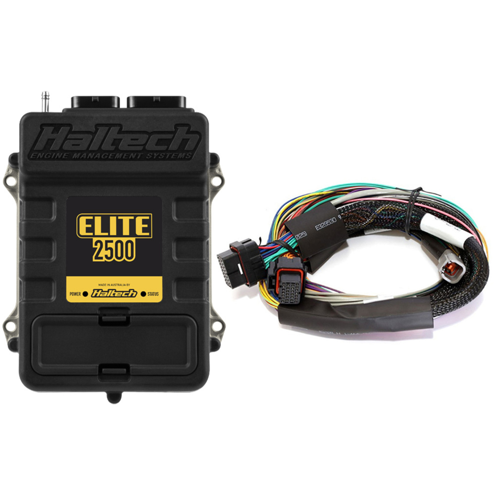 Haltech Elite 2500 + Basic Universal Wire-in Harness Kit Length: 2.5m (8')
