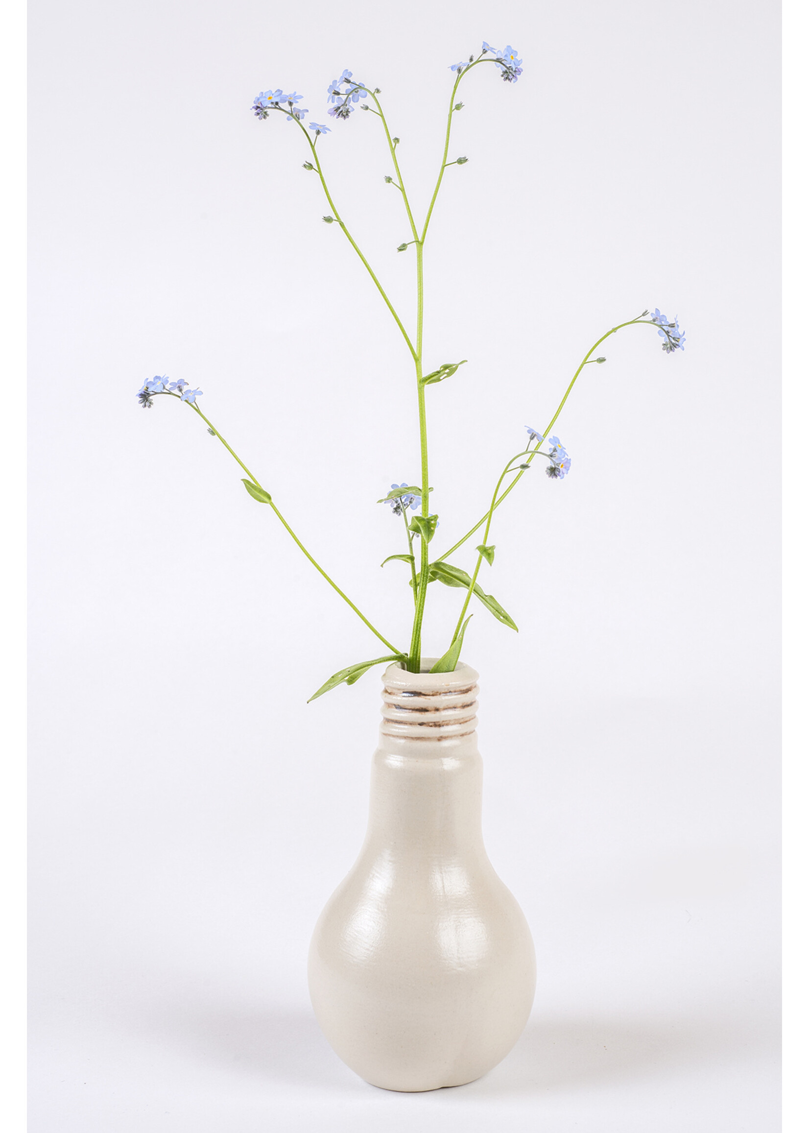 Stiftung Alpenruhe Glühbirne Vase