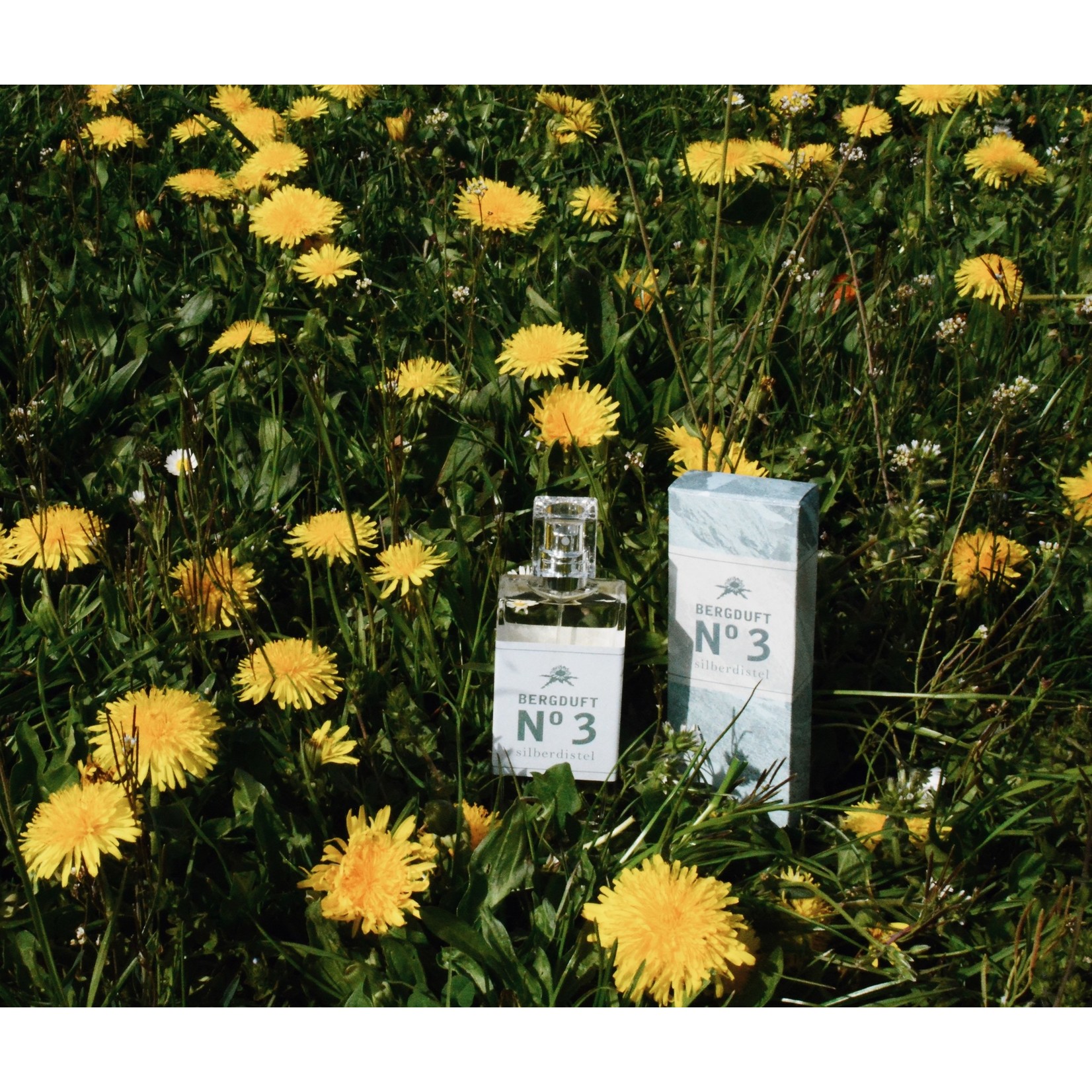 Berg & Kraft Bergduft Eau de Parfum 3 / 50 ml silberdistel