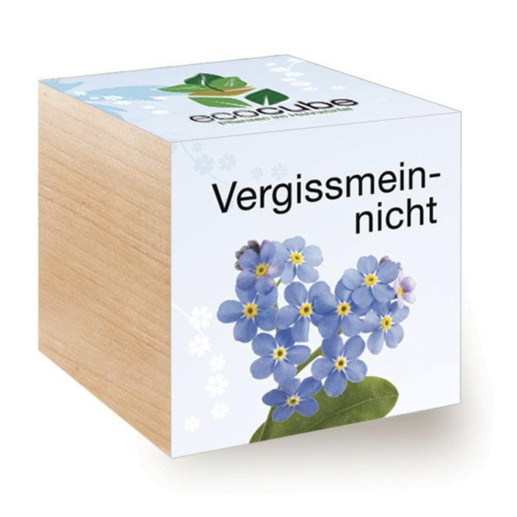 FEEL GREEN Ecocube Vergissmeinnicht - Pflanzen im Holzwürfel