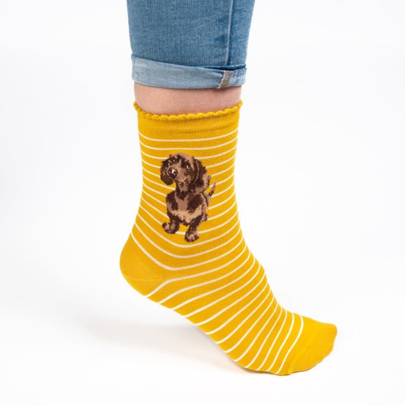 Wrendale Design Dog Sock Mustard 100% Ökotex Bambus