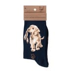 Wrendale Design Socken Dog Hopeful Navy - Hund