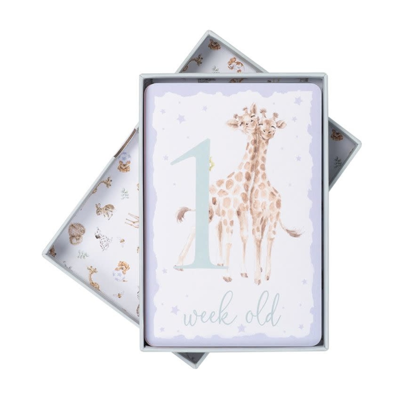 Wrendale Design Baby Animal Milestone Cards