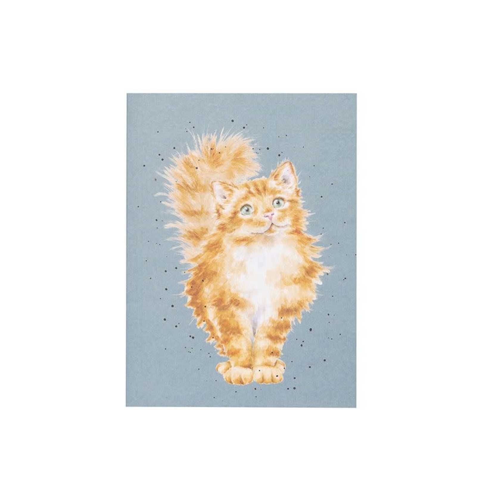 Wrendale Design 'Just Purrr-fect' Cat A6 Notizbuch